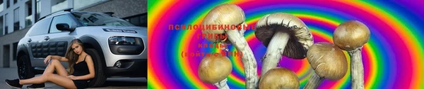 мдпв Богданович